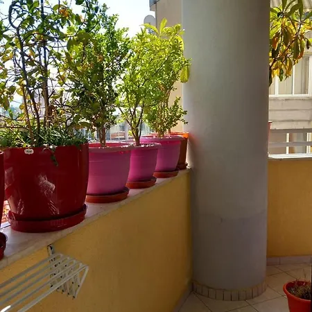 Center * Σκόδρα